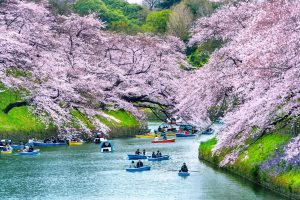 festival-di-jepang-merayakan-warisan-budaya-yang-beragam